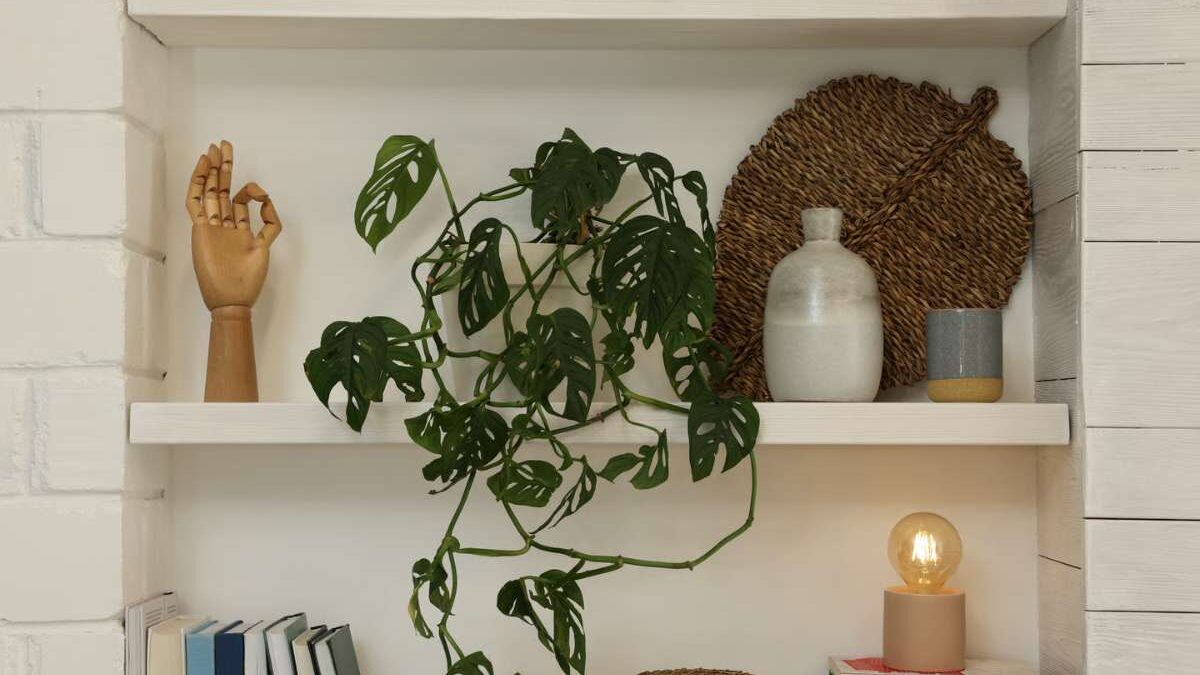 objet deco bibliotheque