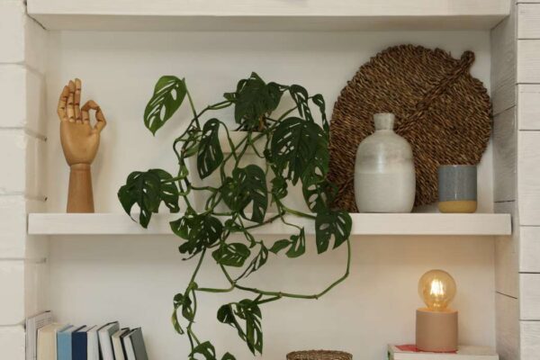 objet deco bibliotheque
