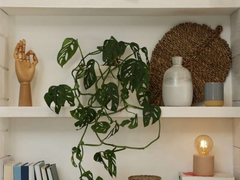 Décoration & Design Intérieur